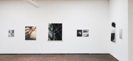 The Wetware Projects