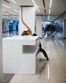 The Wetware Projects