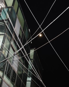 The Wetware Projects