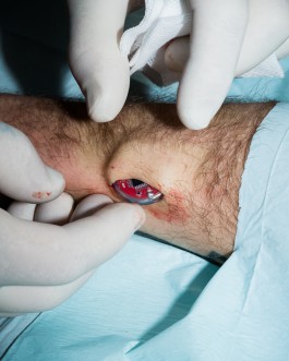 The Wetware Projects