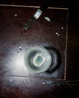 The Wetware Projects