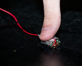 The Wetware Projects