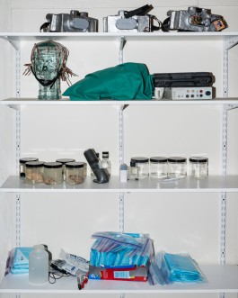 The Wetware Projects