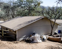 The Wetware Projects