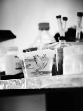 The Wetware Projects