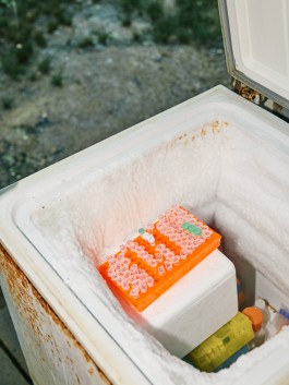 The Wetware Projects