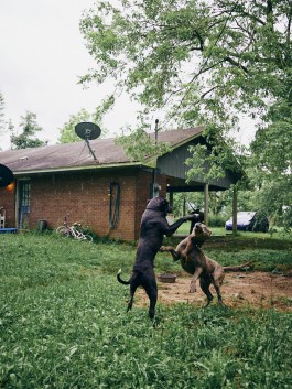 The Wetware Projects