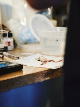 The Wetware Projects