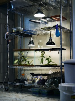 The Wetware Projects