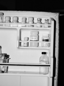 The Wetware Projects