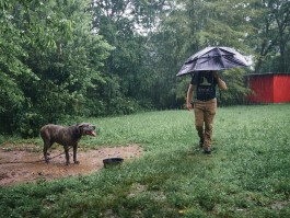 The Wetware Projects