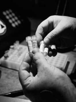 The Wetware Projects